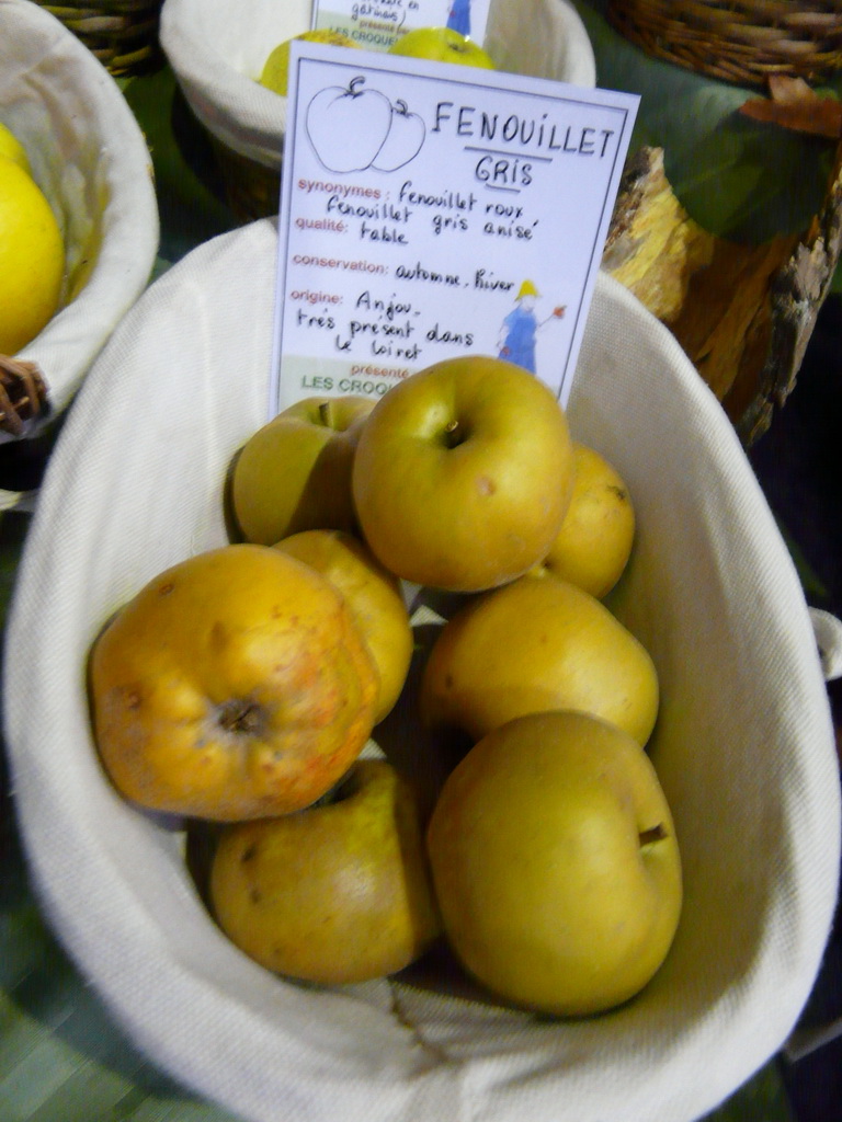 FENOUILLET GRIS - Exposé  le 17 novembre à Eurocroq’pom LIMOGES  2013  parr Les Croqueurs de Pommes du Loiret